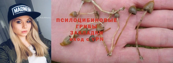 соль ск Алзамай