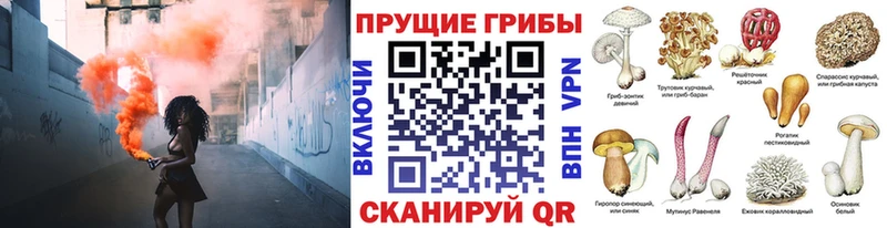 Галлюциногенные грибы мухоморы  Зеленокумск 